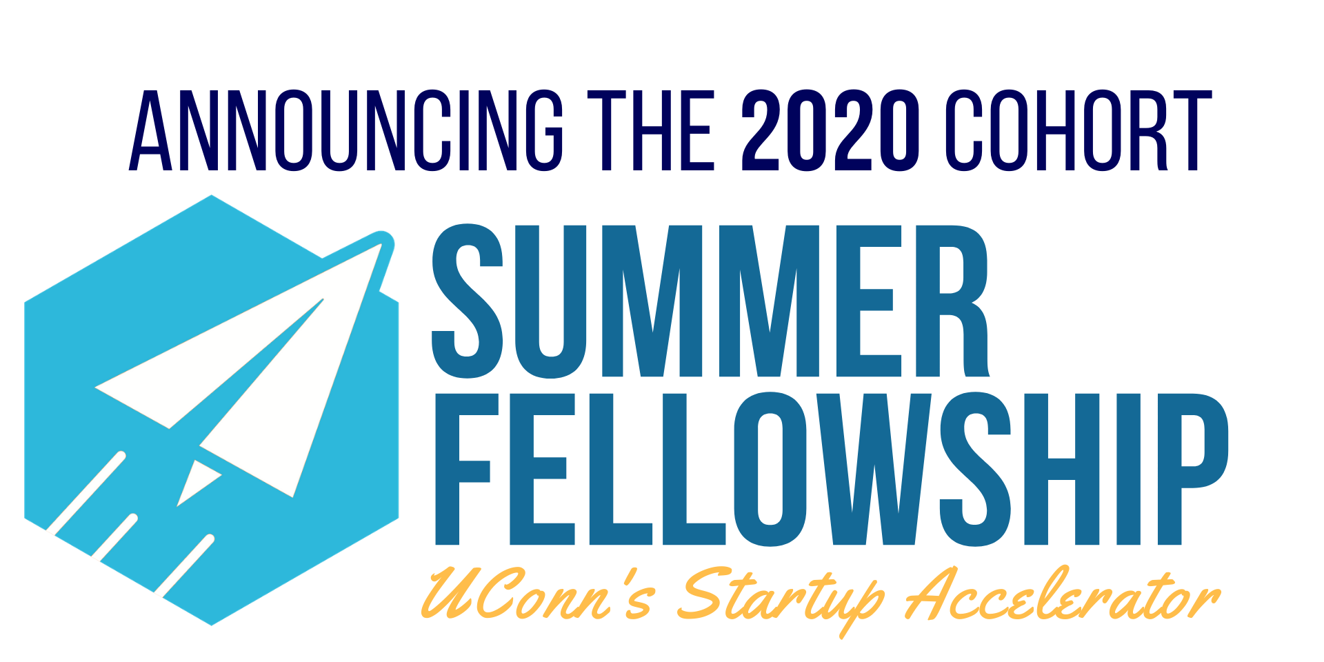 CCEI Summer Fellowship 2020 logo
