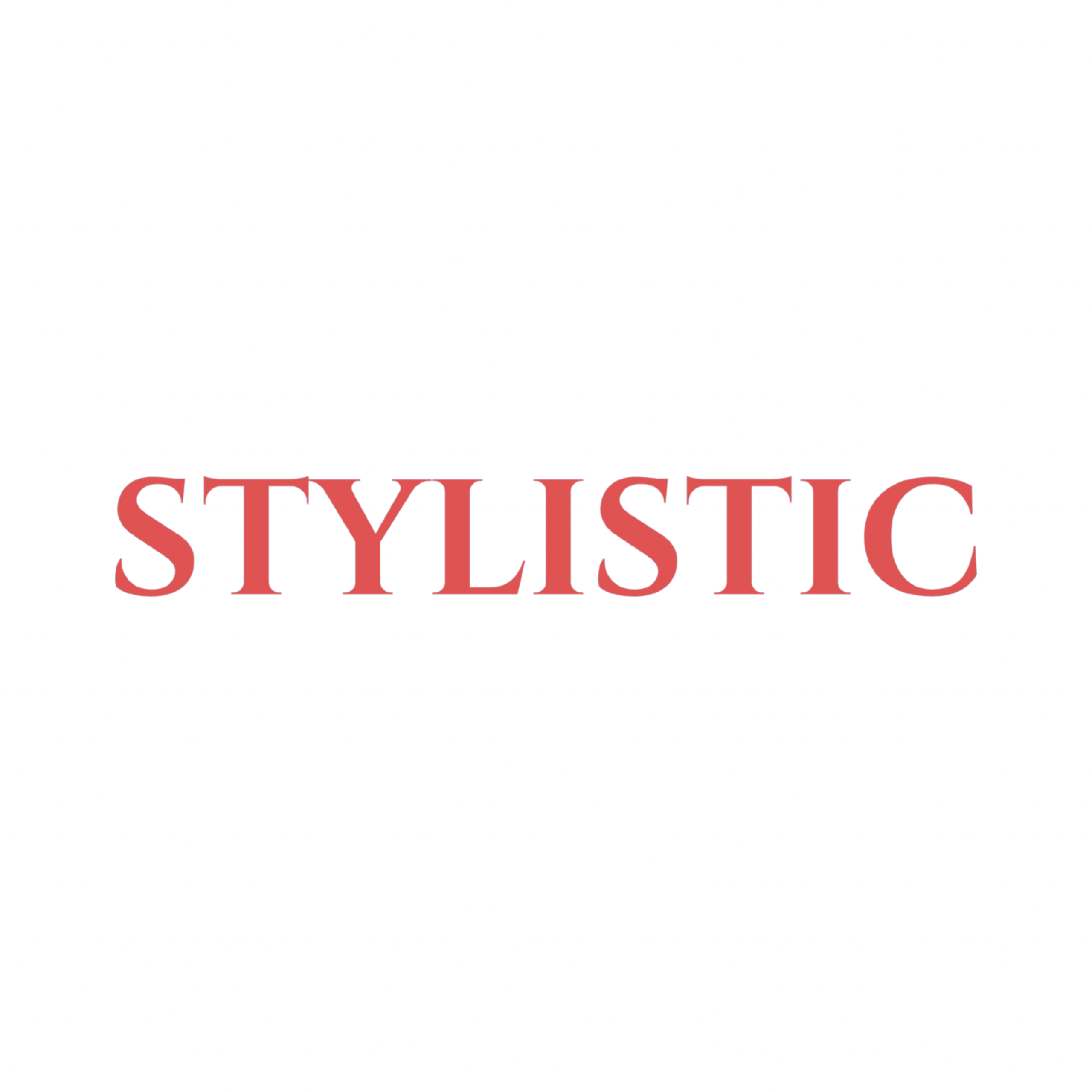 stylistic logo