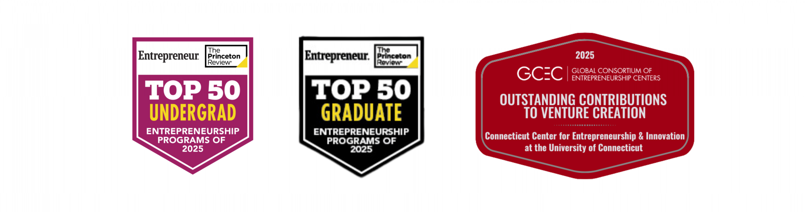 Princeton Review Top 50 Undergrad and Graduate programs of 2025 and GCEC award winner