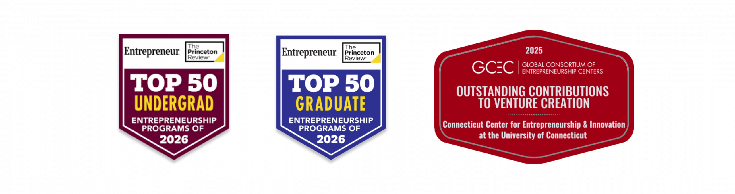 Princeton Review Top 50 Undergrad and Graduate programs of 2025 and GCEC award winner